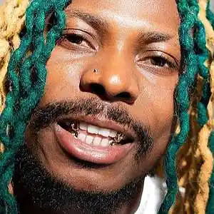 Picture for song 'Asake x Afrobeat Type Beat Gemini' by artist 'Hitmaker Tk2'