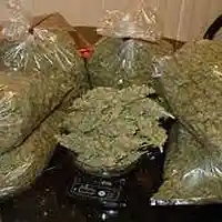Picture for song 'I Like Blazing Up- Buy Now$1.00' by artist 'REDRUMd2d'