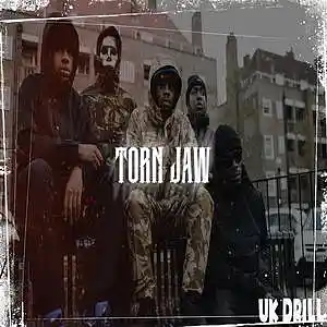 Picture for song 'Torn Jaw' by artist 'Sergy Beats'