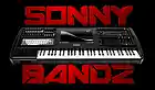 Picture for song 'GUCCI AND THA PYREX (PROD BY SONNY BANDZ)' by artist 'Sonny Bandz'