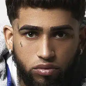 Picture for song 'FAVORITA' by artist 'The Golden Heart 24'