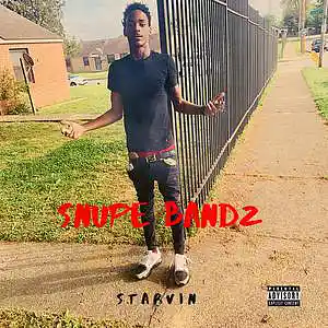 Picture for song 'Don't Test Me** Snupe Bandz**' by artist 'TrapLife Muzik'