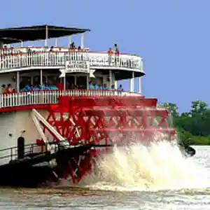 Picture for song 'Dixie's Land' by artist 'Christian Faivre'