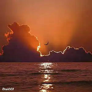 Picture for song 'Warmy' by artist 'DreiOO7'