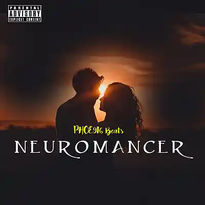 Picture for song 'NEUROMANCER' by artist 'PHOE9I6 Beats'