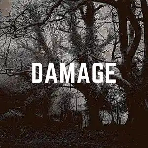 Picture for song 'Damage l Buy 1 Get 4 FREE' by artist 'Random Beats T.A.S'