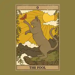 Picture for song 'The Fool' by artist 'Sean Ferree'
