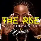 Picture for song 'The Rise * Smash * FREE DL' by artist 'The Siinergy'