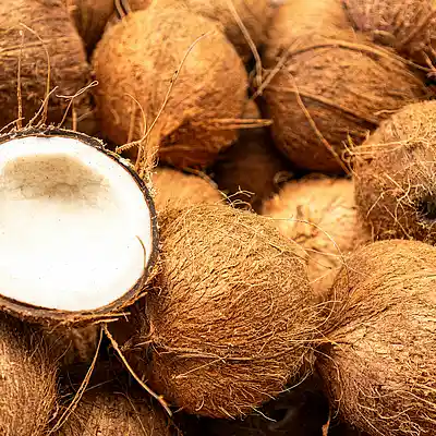 Picture for song 'Coconuts' by artist 'TheUnorthodoxWizard'