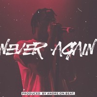 Picture for song 'Never Again' by artist 'AndreOnBeat'