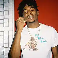Picture for song 'Hollows - Playboicarti type beat Prod. b1gs' by artist 'b1gsbeats'