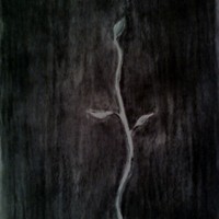 Picture for song 'Etiolation (Instrumental mix)' by artist 'Blood Stained Glass'