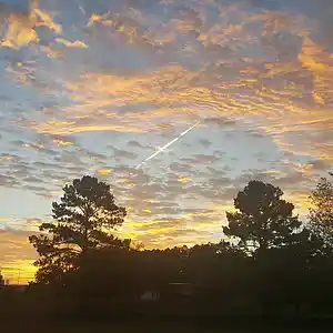 Picture for song 'Brasshead' by artist 'Churro Lightyear Beats'