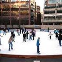 Picture for song 'ORGAN ICED' by artist 'CoolCatCal'