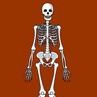 Picture for song 'Dead&Gone (Trap Instrumental)' by artist 'Gino Benz'