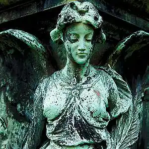 Picture for song 'Seasons' by artist 'Iriny'