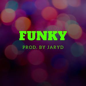 Picture for song 'Funky' by artist 'JarydAudio'