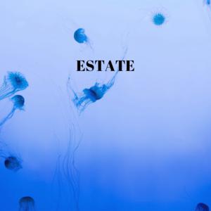 Picture for song 'Estate' by artist 'JarydAudio'