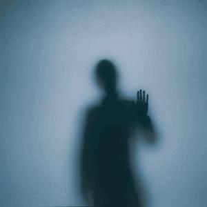 Picture for song 'The Shadow' by artist 'JEFFREY SCOTT BAND'
