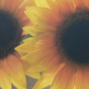 Picture for song 'I Know that you like What you see... ACID-House Mi' by artist 'JOHN BARRY ( W.v.D )'