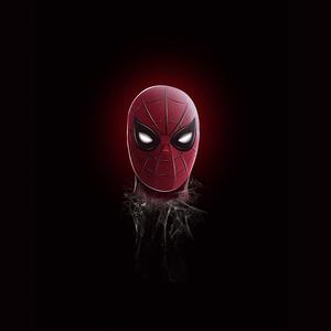 Picture for song 'SPIDERMAN - Hard Rap Trap' by artist 'KINGZZ'