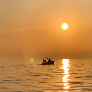 Picture for song 'golden sea' by artist 'Marcos Vita'