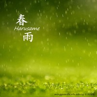 Picture for song 'Harusame/Spring Rain' by artist 'mingguan'