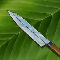 Picture for song 'Sicario *SOLD*' by artist 'Nick Vanelli'