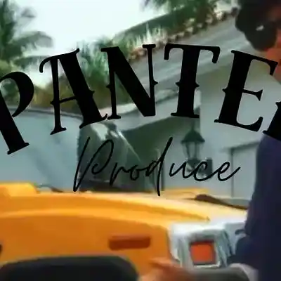 Picture for song 'Flow Mexicano - Base de Rap / Hip Hop Instrumental' by artist 'PANTER PRODUCE'
