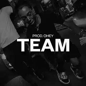 Picture for song 'TEAM (BUY 2 GET 1 FREE) DD OSAMA TYPE BEAT' by artist 'prod.ohey'