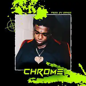 Picture for song 'Polo G x Toosii x Kodak Black Type Beat-Chrome' by artist 'sange beats'