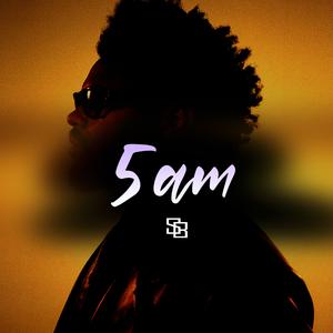 Picture for song '5am' by artist 'SilinsBeats'