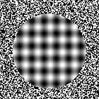 Picture for song 'Come On Home' by artist 'Tom Balistreri'