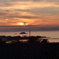Picture for song 'Moving' by artist 'Viking Blues'
