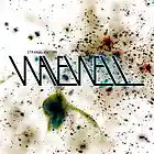Picture for song '17 Jagged Animals 2005' by artist 'Wave Well'
