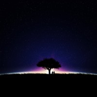 Picture for song ' THAT 1 NIGHT' by artist 'YK On Da TracK'