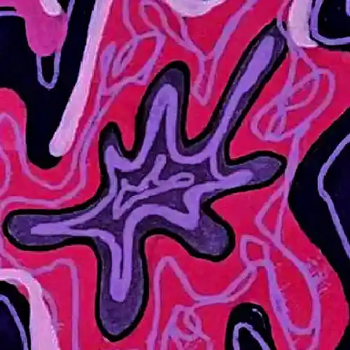 cover pic