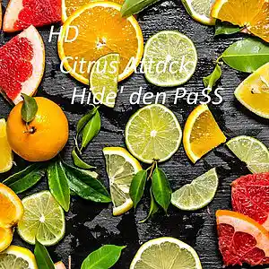 Picture for song 'Citrus Attack' by artist 'Hide den PaSS'