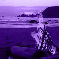 Picture for song '(NEW) Beach House' by artist 'LEXI BANKS'