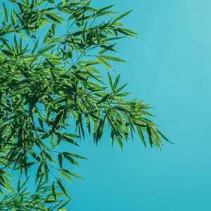 Picture for song 'Iceberg' by artist 'P.R Beats'