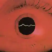 Picture for song 'savage' by artist 'WisedUpBeats'