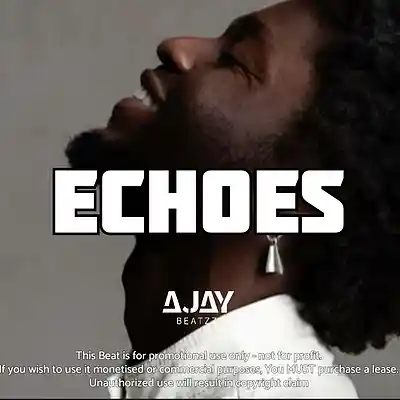 Picture for song 'Echoes' by artist 'Ajay Beatzz'