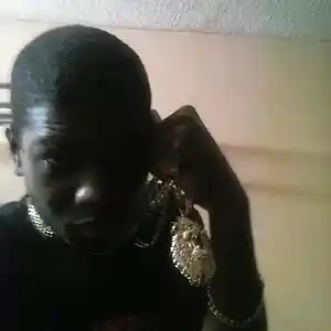 Picture for song 'party n bullzit feat lil kim' by artist 'Blac label seven aka celebrity dah star'