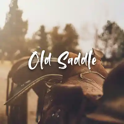 Picture for song '"Old Saddle" Shaboozey x BigXthaPlug Type Beat' by artist 'Filipe Faria'