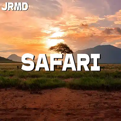 Picture for song 'Safari (Afrobeat Instrumental)' by artist 'Jrmd'