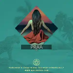 Picture for song '[ Praa ] Gims type beat x arabic instrumental' by artist 'Malakkor'