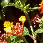 Picture for song 'The Landings' by artist 'Man UnderGround'