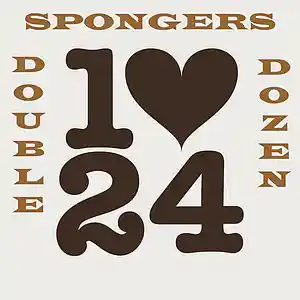 Picture for song 'double dozen 02 gaps and holes' by artist 'SPONGERS'