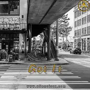 Picture for song 'Got It' by artist 'Alienoisez Beats'