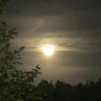 Picture for song 'We outside!!' by artist 'Corey Purvis'